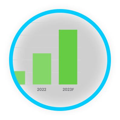 Timeline milestone