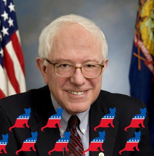 Bernie Sanders and cats