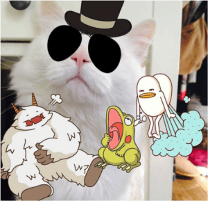 machine learning cat