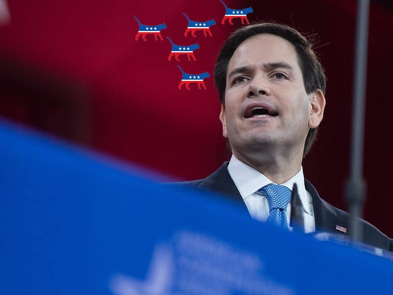 marco rubio